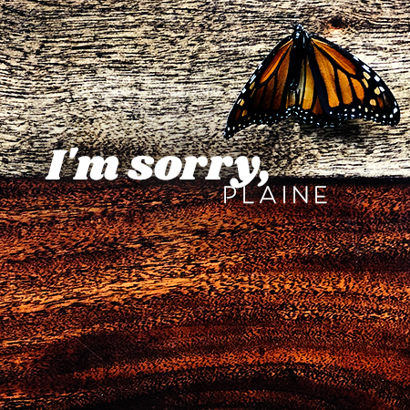 i'm sorry, a chamber pop indie rock song by plaine