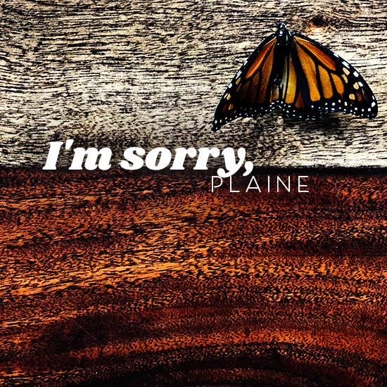 i'm sorry - plaine i'm sorry - a chamber pop, indie rock song by plaine in charleston, sc